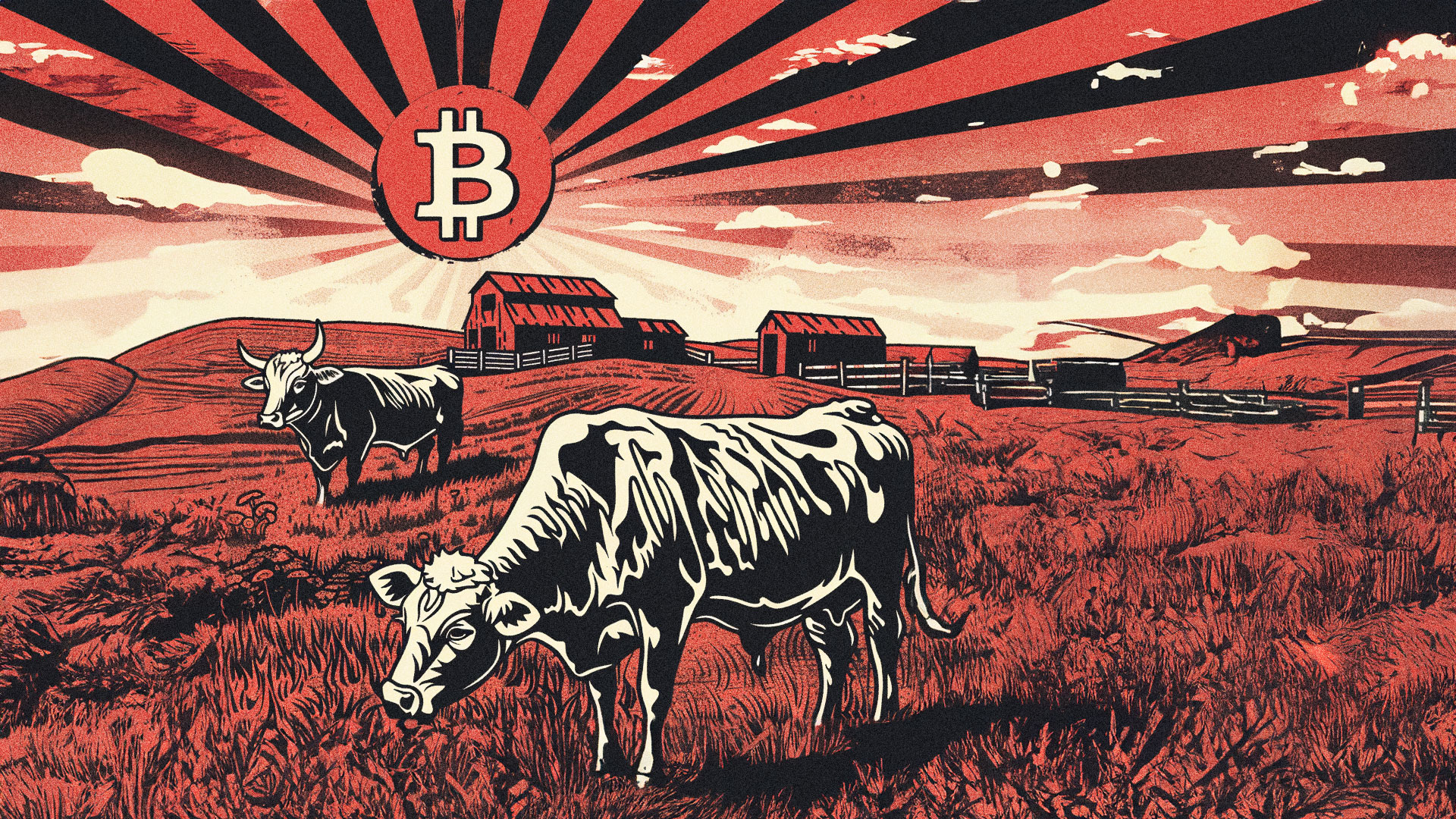 Say Goodbye to Visa and Mastercard: Secure Your Beef with Bitcoin!