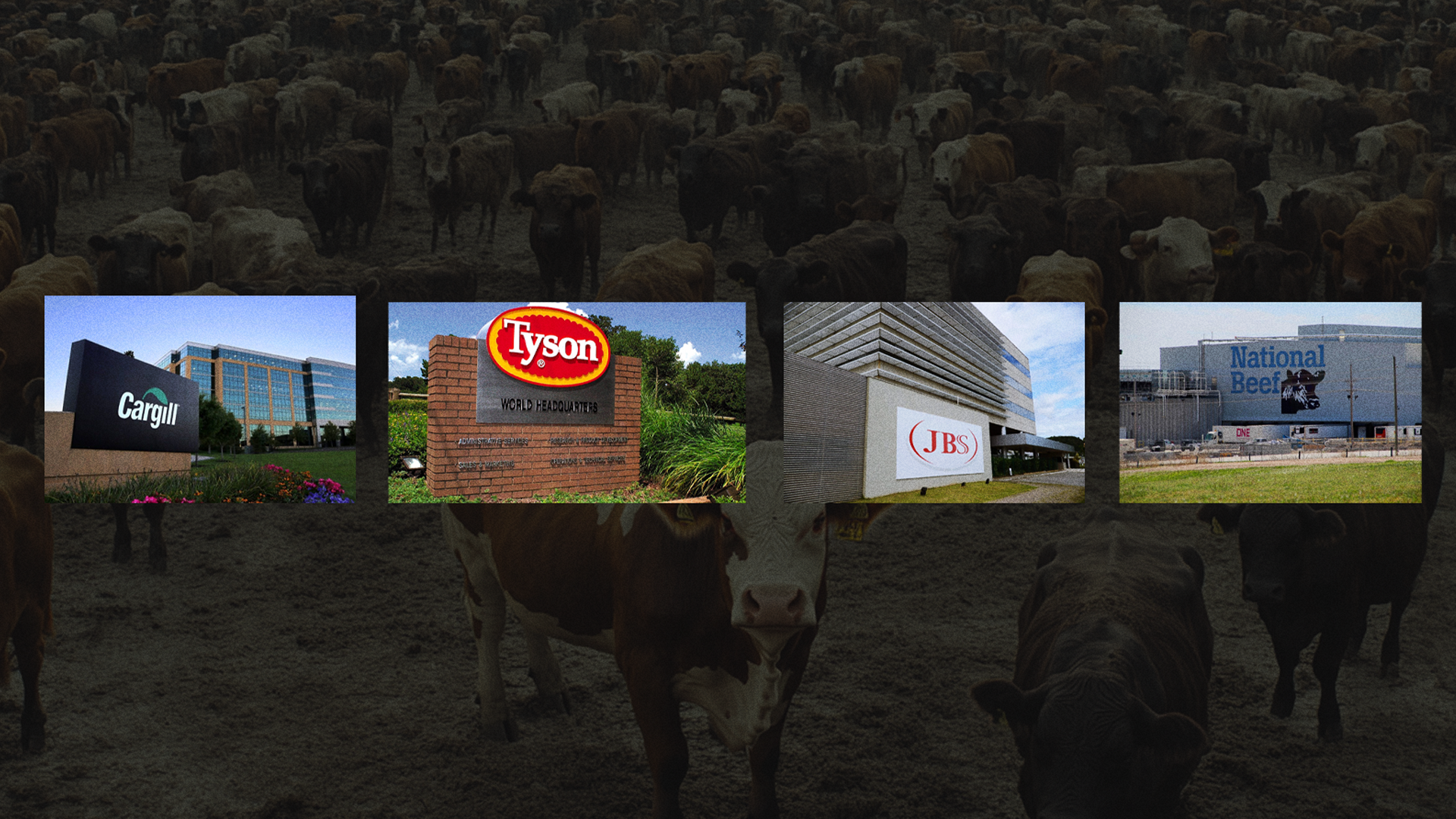 How USDA Policy Shifts Under the Packers and Stockyard Act Could Raise Food Prices and Favor Big Corporations