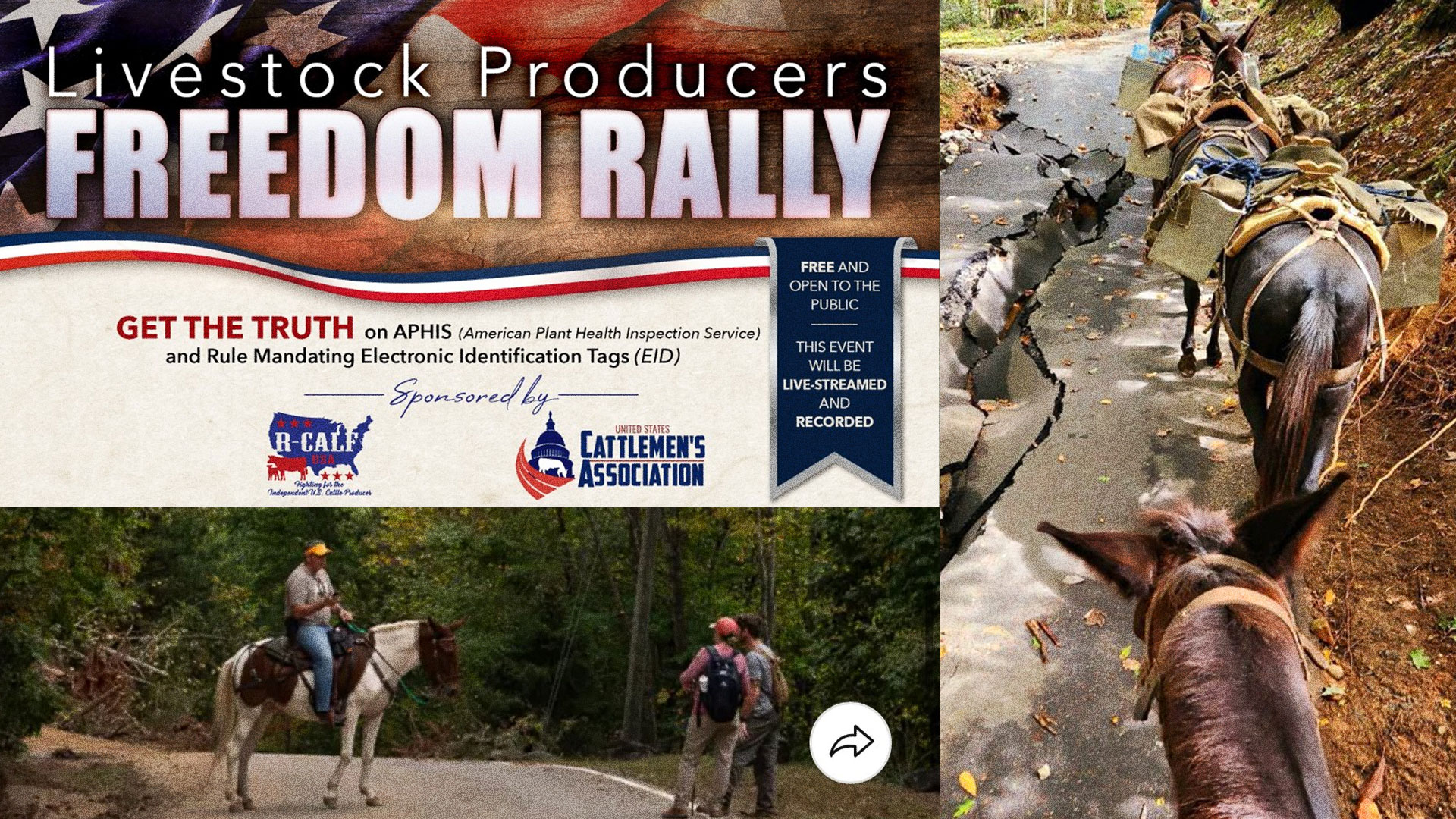 Ranchers Stand Against RFID Mandates; Relief Efforts Surge in Southern States following Helene