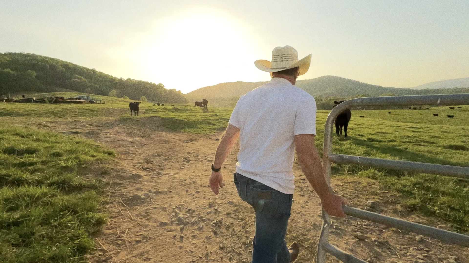 Simple: A Path Back to the Land
