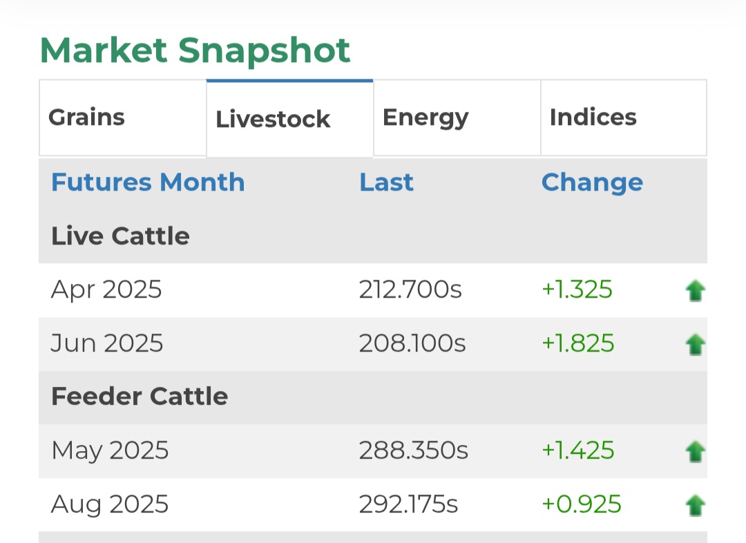 Cattle Markets Set New Highs as Commodities Soar