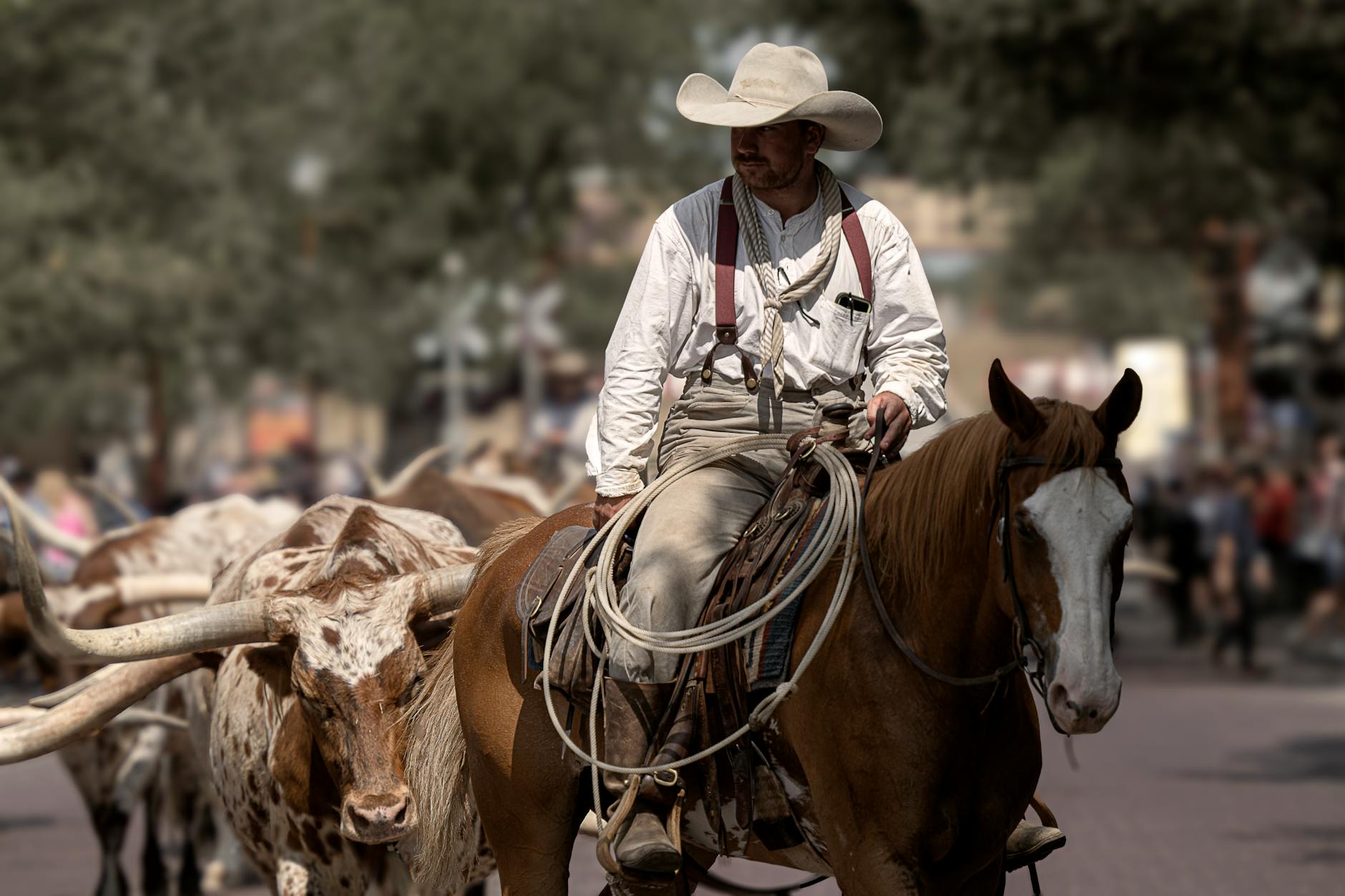 Barriers to Entry: Tariffs, US Cattlemen, and Beef Maps