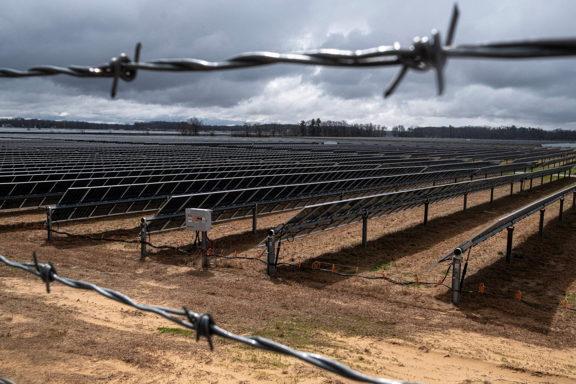 "It’s Doggone Depressing": Solar Panels Swallow America’s Farmland