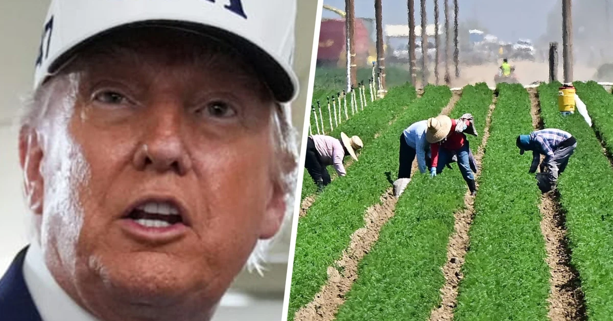 Hold the Lettuce, Bring the Raids: Trump Reinstates Immigration Policy on Farms, Hotels, and Meat Plants