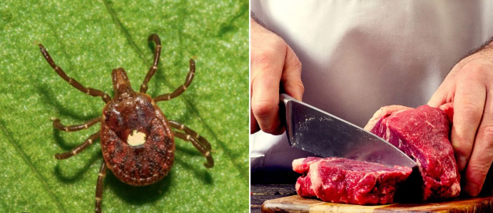 They Want You Allergic to Meat—And They're Not Joking