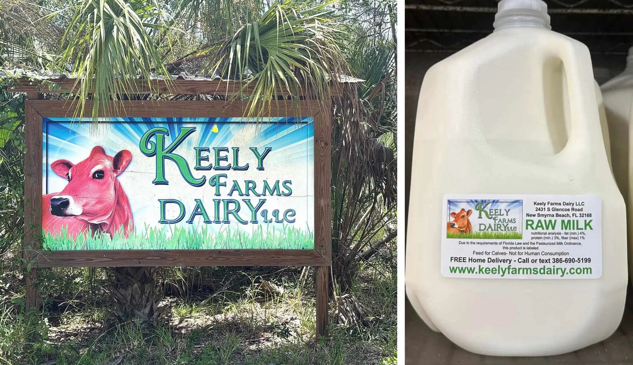 The Dairy Cartel’s Smear Machine: Florida Just Framed a Family Dairy