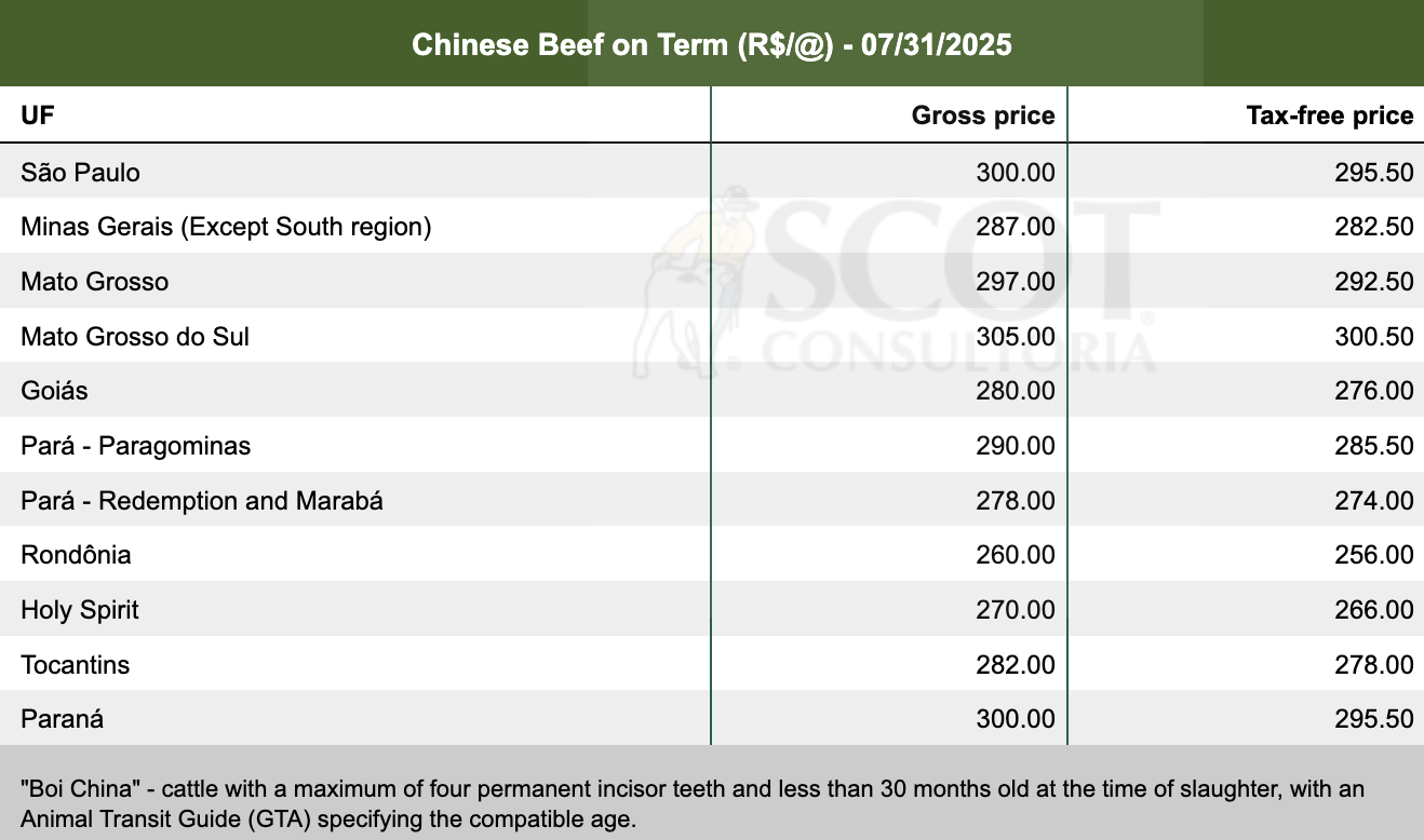 “The Profit Disappeared”: Inside Brazil's Meat-for-Gadgets Cartel Trump Just Cracked