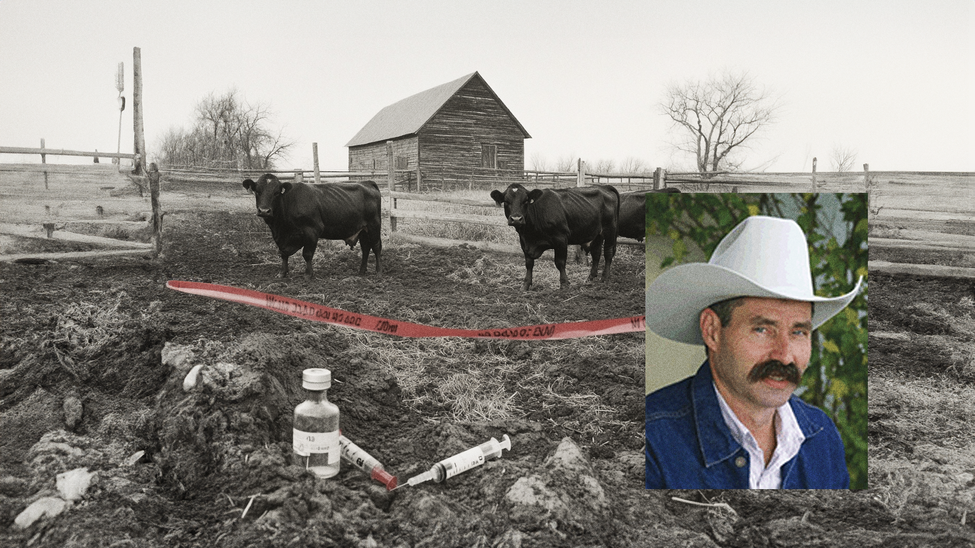 An Urgent Warning on mRNA Vaccines in Livestock