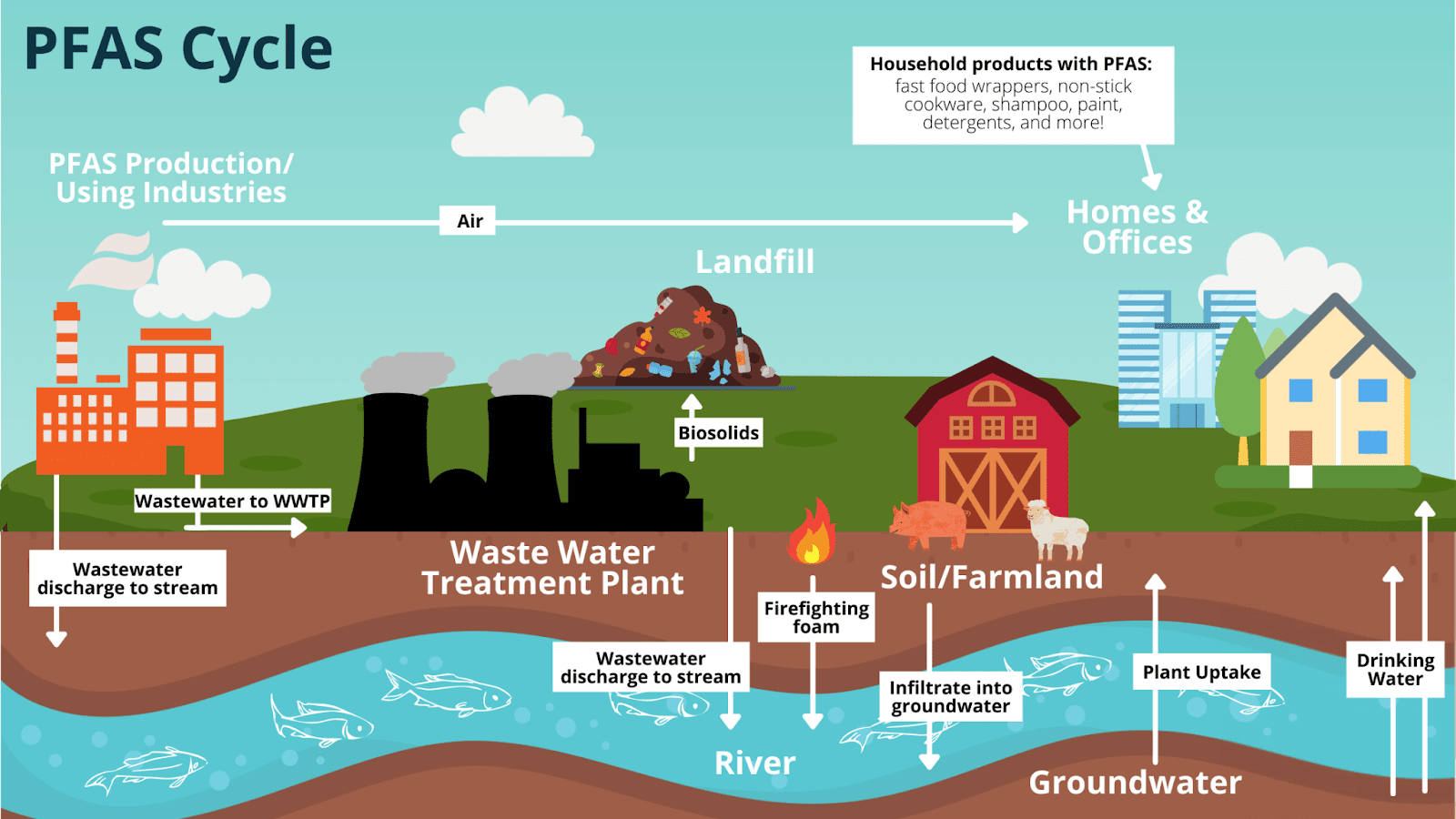 You’ve Been Eating PFAS: Biosolids, Beef, and the Deep State’s Dirty War on Agriculture