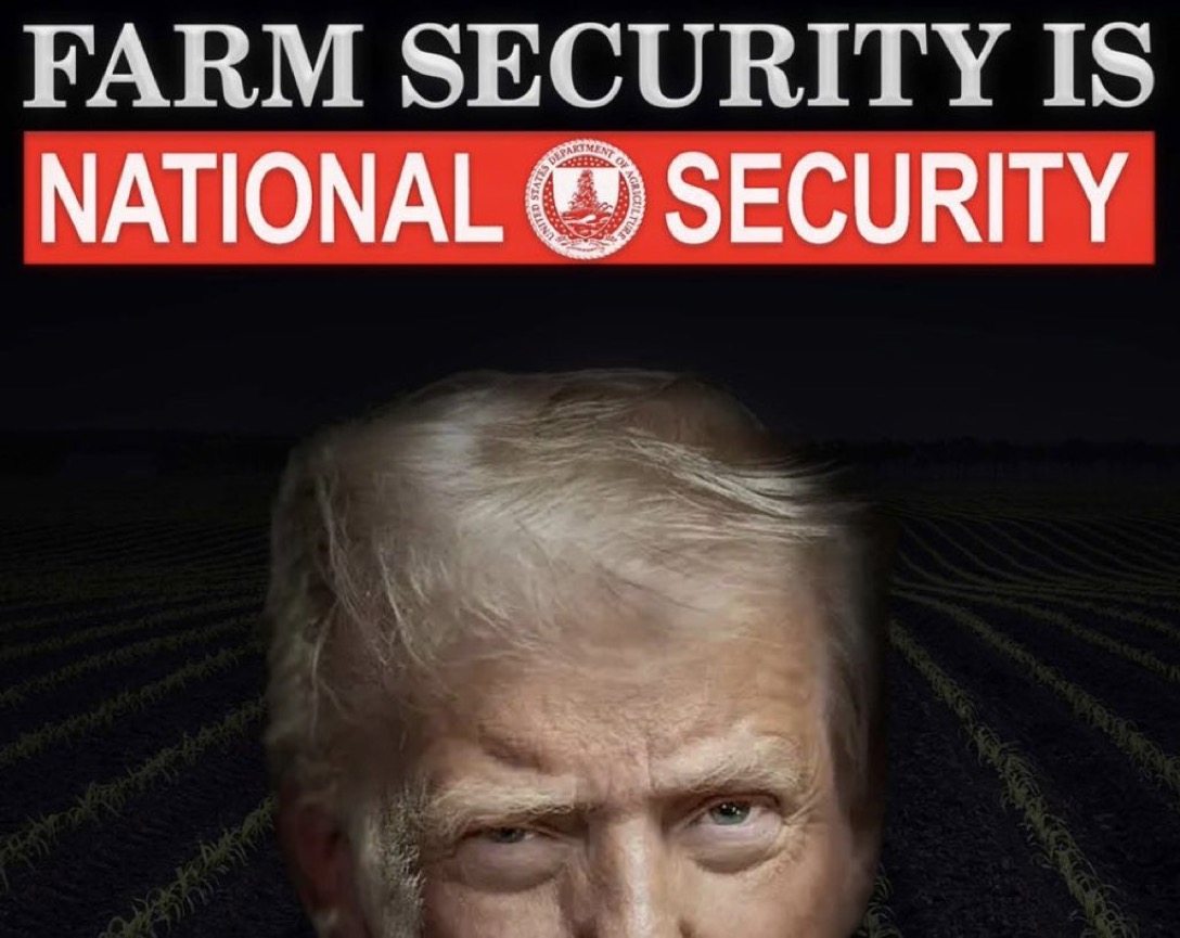 In 2000, USDA Sided With Packers. Now Trump’s Probe Has Blown the Lid Off.