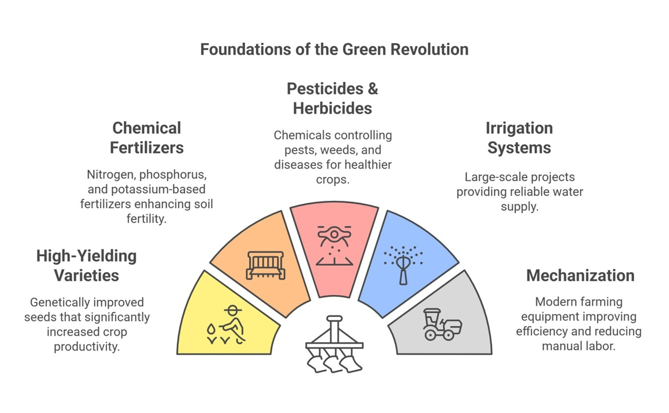 The Lock-In: Why Chemical Farming Survives 40 Years of Contrary Evidence